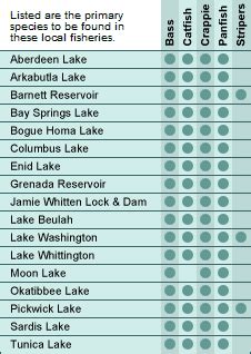 Fishing In Mississippi Lakes For All Fish Species.